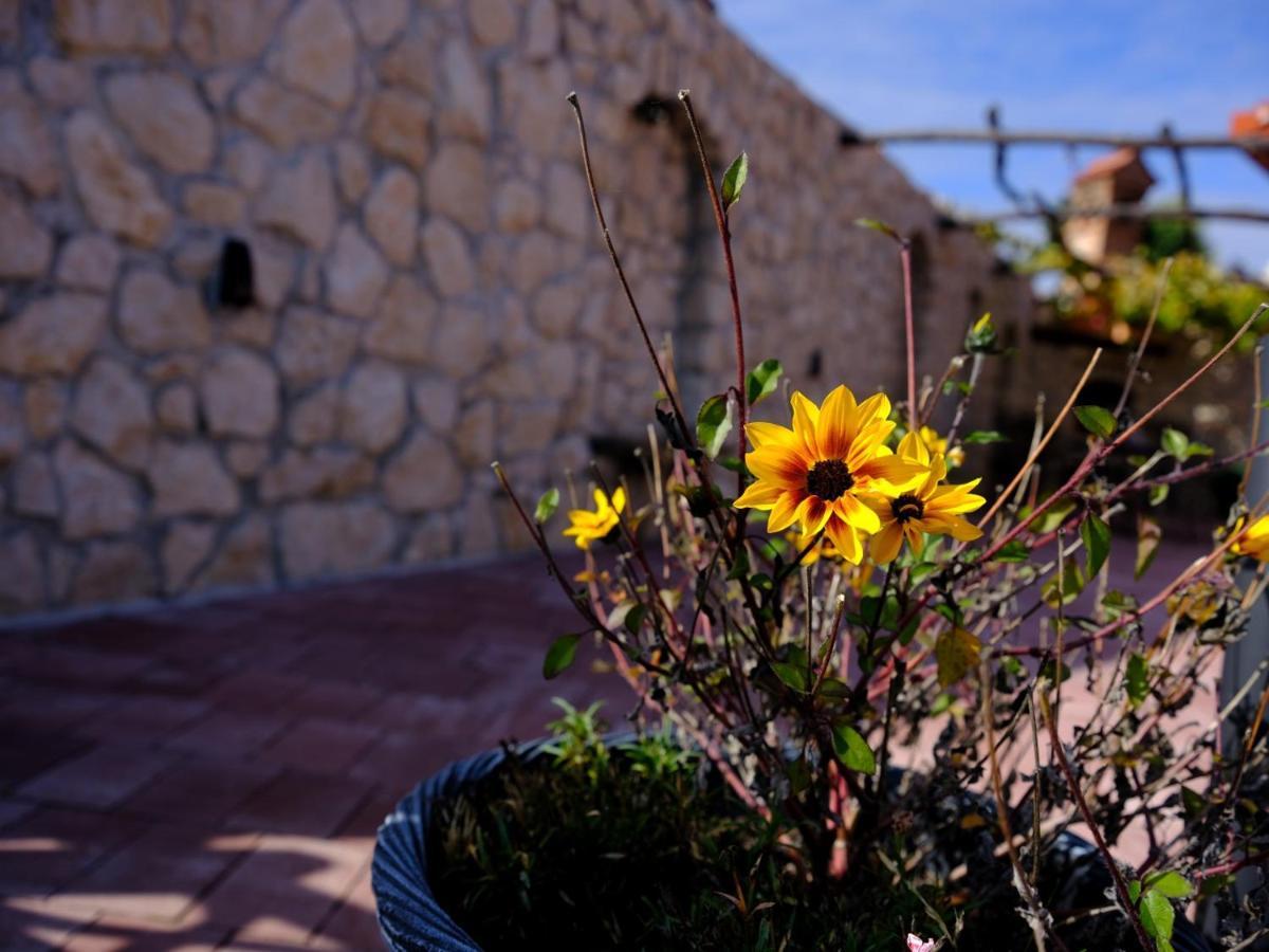 Apartamento Secret Wellness Bodonci Exterior foto